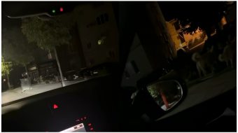 Grupi i strukturuar i qenve terrorizon dibranët:&hellip;