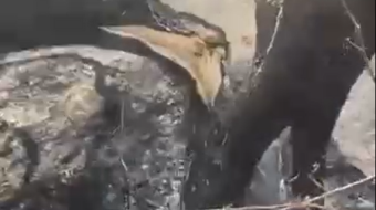 “Dëme të mëdha për shumë familje”/ Zjarri&hellip;
