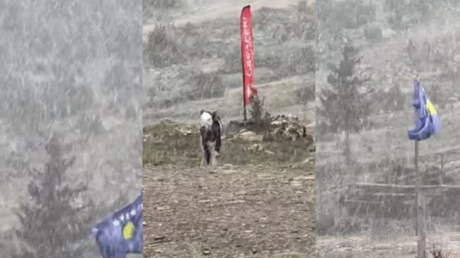 Bora zbardh bjeshkët e Deçanit