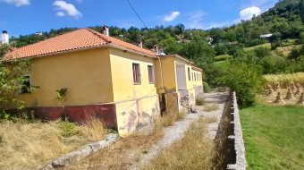 Nxënësit në Rrajcë përballen me hardhuca e&hellip;