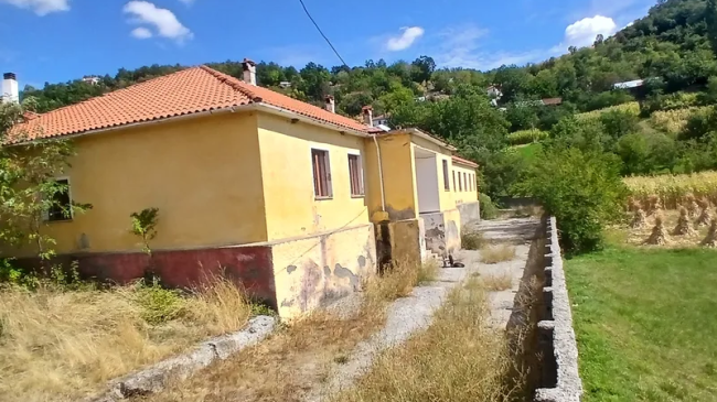 Nxënësit në Rrajcë përballen me hardhuca e&hellip;