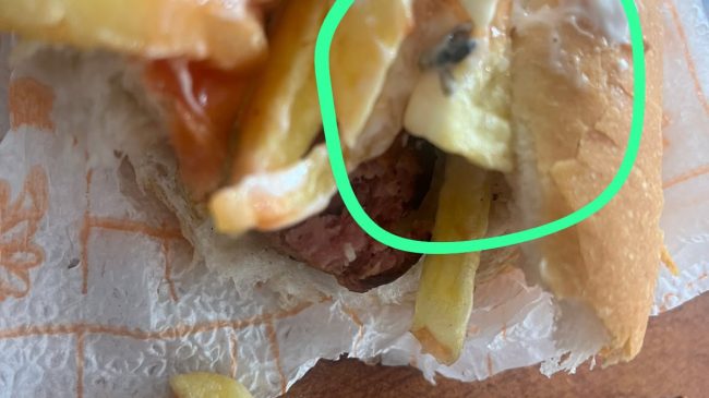 “Po helmohemi”, nxënësja gjen miza në hamburgerin&hellip;