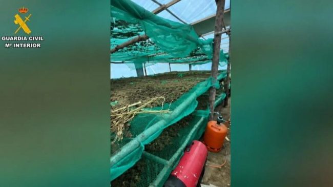 220 kg marijuanë dhe një plantacion i&hellip;