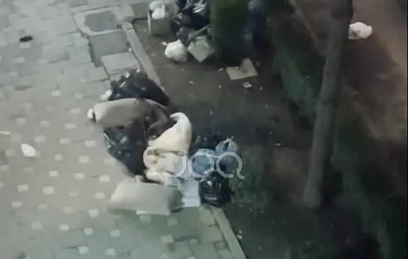 Pamje të trishta nga Lezha: I pastrehu&hellip;