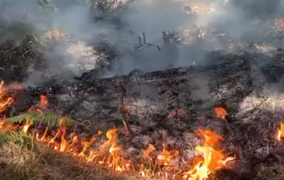 Zjarri në Gjinar rrezikon banesat