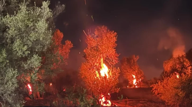 Zjarri përfshin fshatin Bestrovë në Vlorë, tre&hellip;